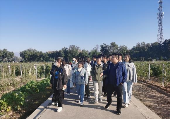 太阳成集团tyc41183